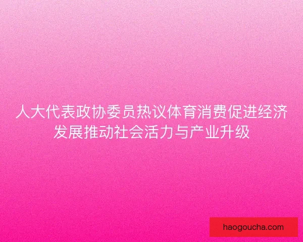 人大代表政协委员热议体育消费促进经济发展推动社会活力与产业升级